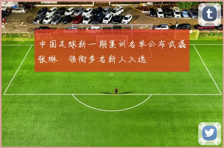 中国足球新一期集训名单公布武磊张琳芃领衔多名新人入选