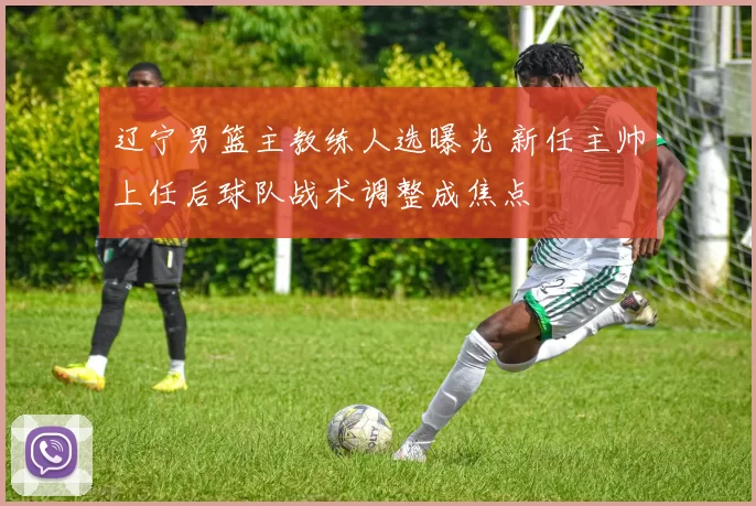 辽宁男篮主教练人选曝光 新任主帅上任后球队战术调整成焦点